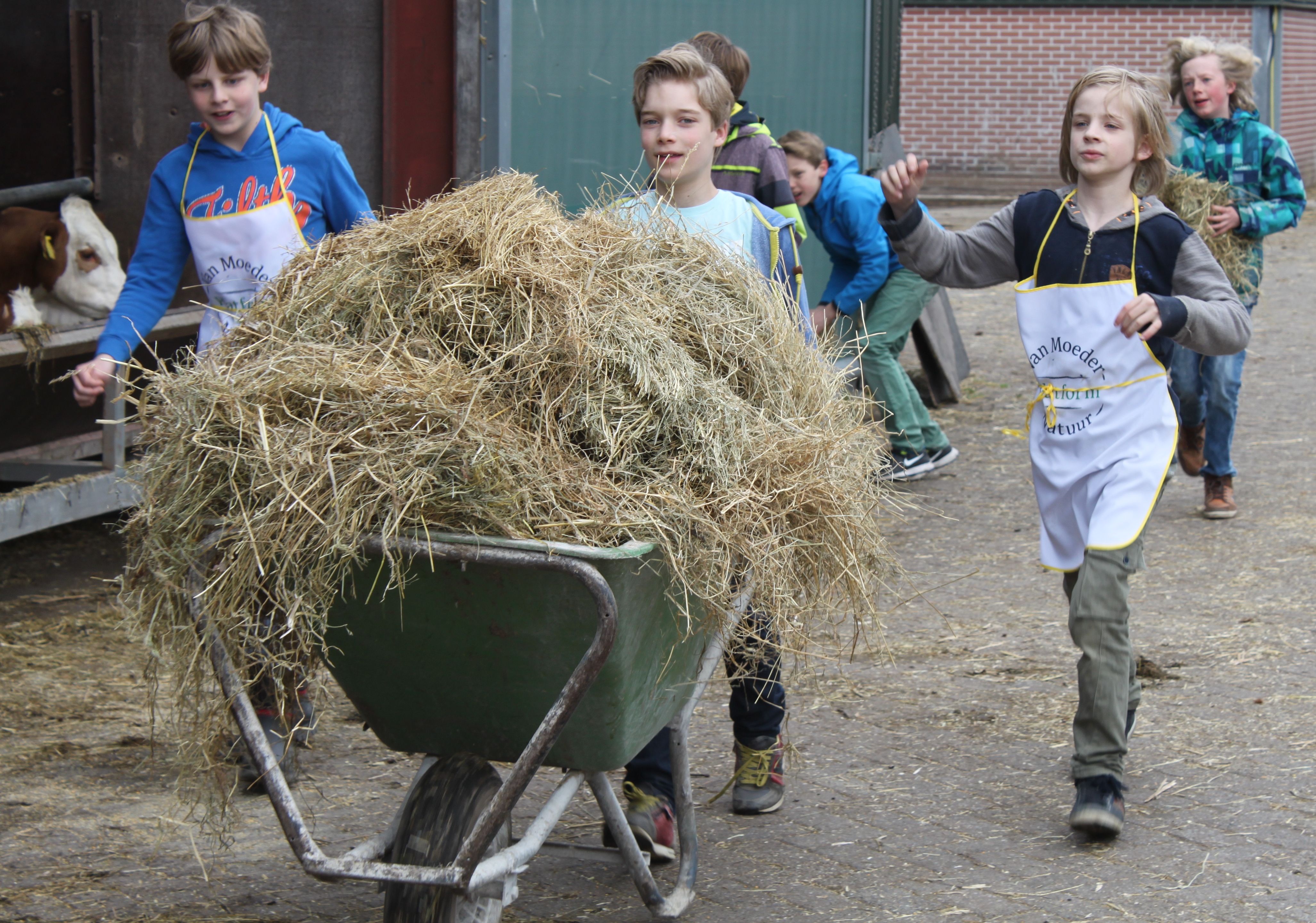 boerderijeducatie NL