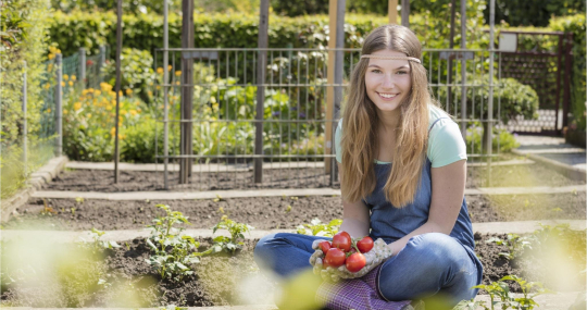 Moestuincoaches Flevoland 